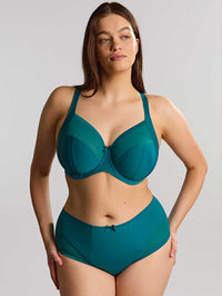 Panache Bliss Deep Brief Teal